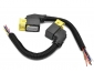 12 Pin Wiring Harness 1703636 for Delong Ouman BOSCH 2.2 6.5 Urea Pump